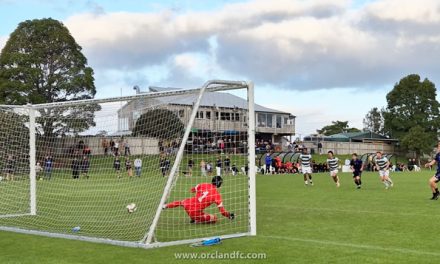 Auckland FC Reserves vs. Western Springs AFC