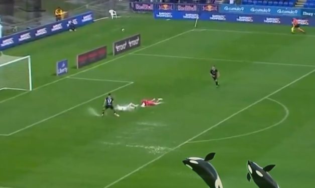 Auckland FC vs. Newcastle Jets in the rain … again!