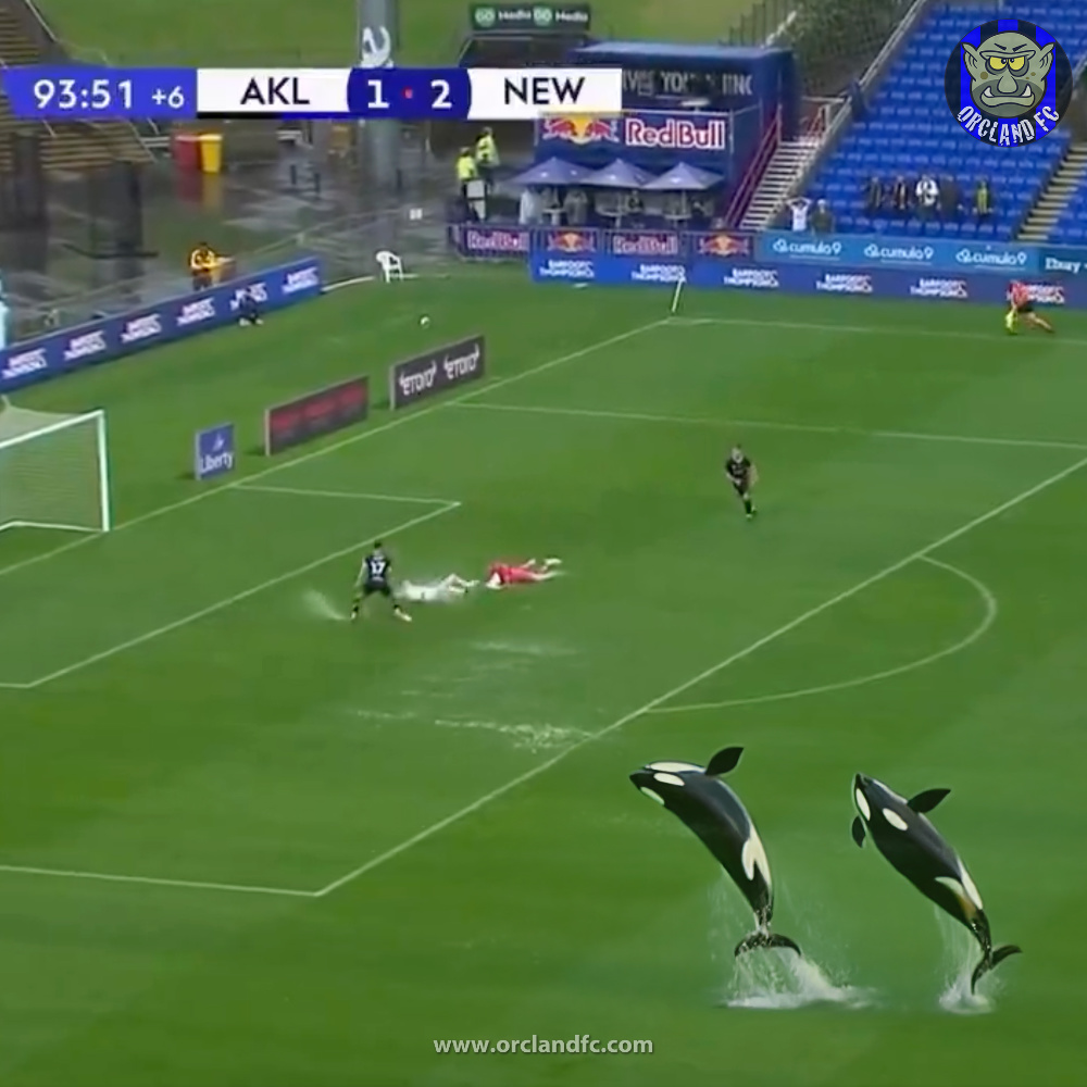 Auckland FC vs. Newcastle Jets in the pouring rain with Orcas jumping out of the football pitch - Orcland FC Football meme